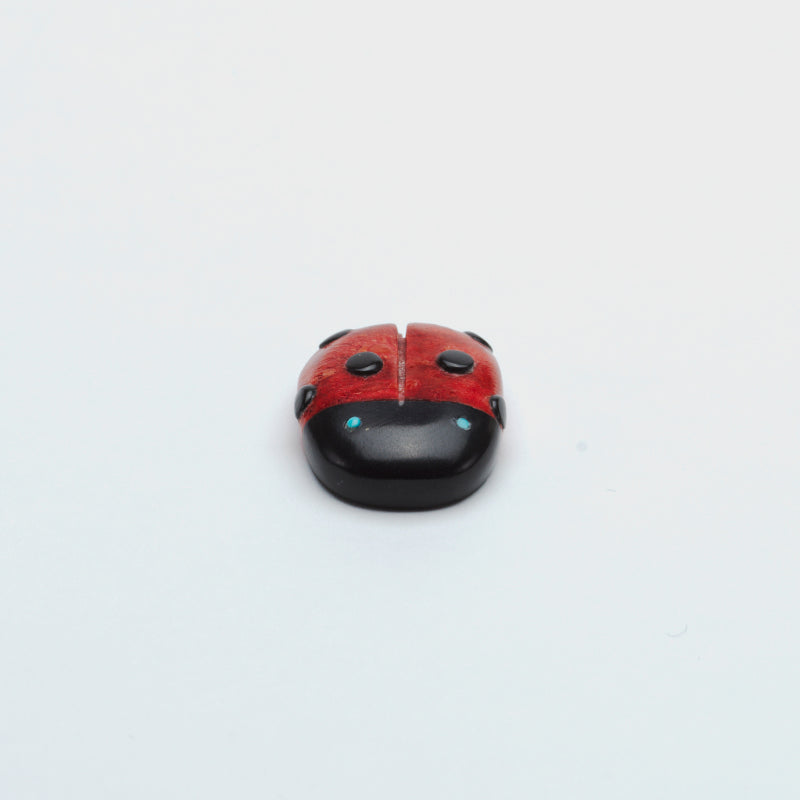 Georgette Quam:  Apple coral, Ladybug