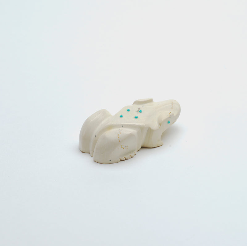 Fabian Tsethlikai: Fishrock, Frog