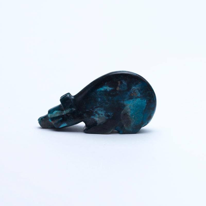 Reynold Lunasee: Kingman Turquoise, Bear