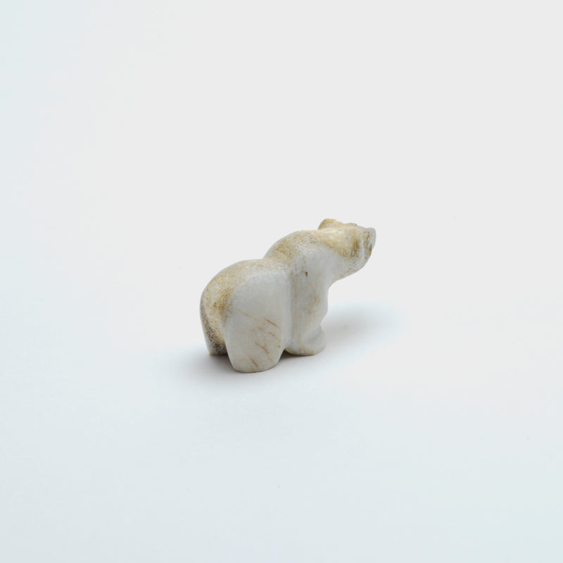 Claudia Peina: Antler, Bear