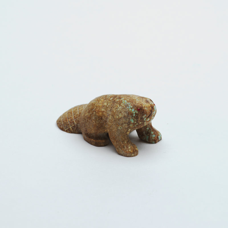 Brion Hattie: #8 Turquoise, Beaver