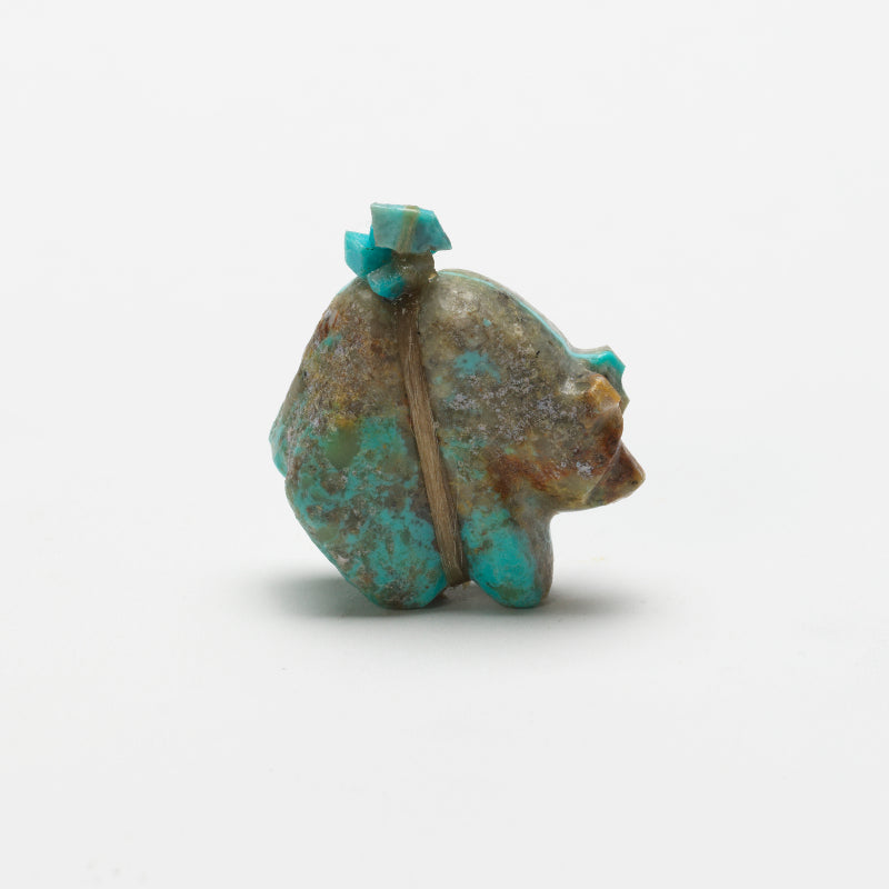 Daryl Shack: Turquoise, Bear with Bundle