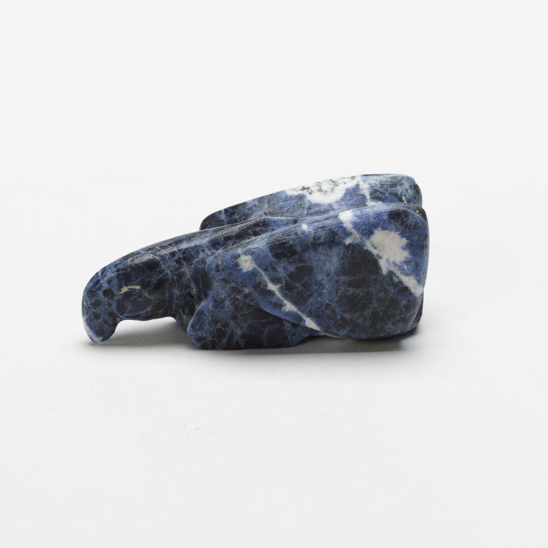Benina Kallestewa: Sodalite, Eagle