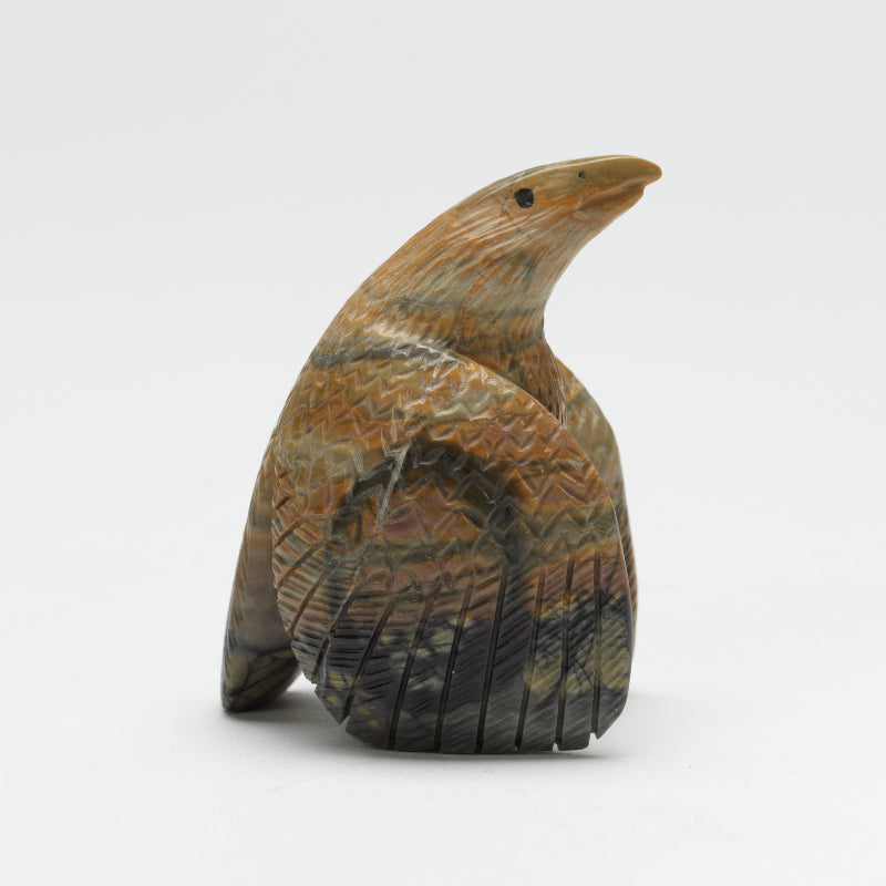 Daryl Shack: Picasso , Eagle