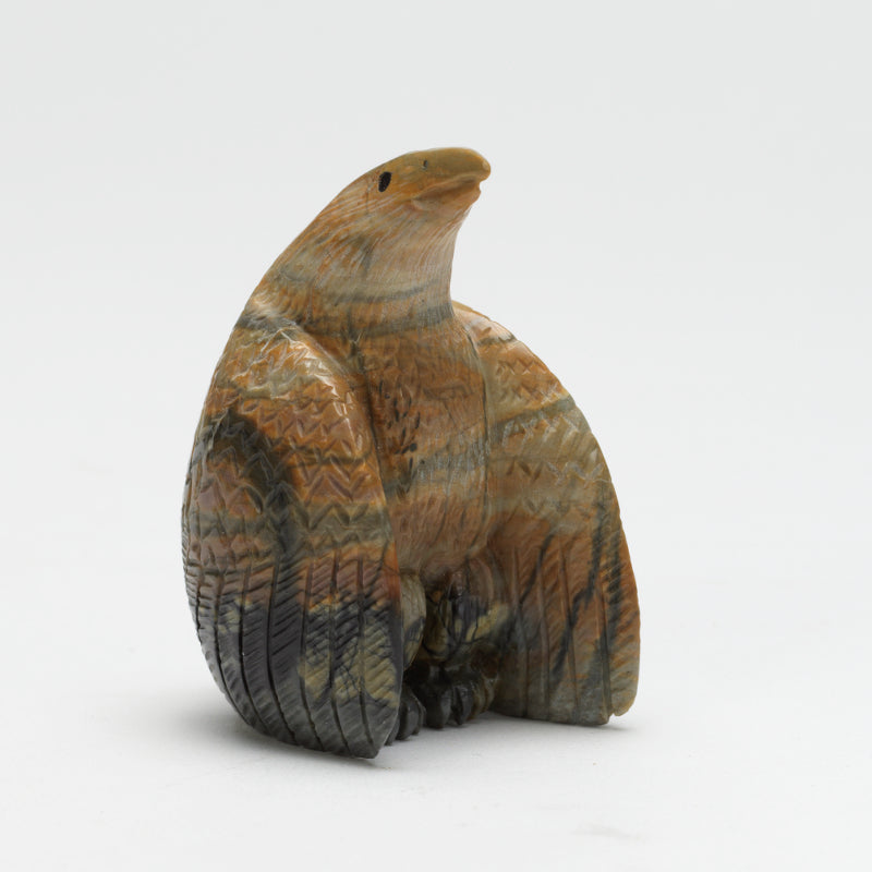 Daryl Shack: Picasso , Eagle