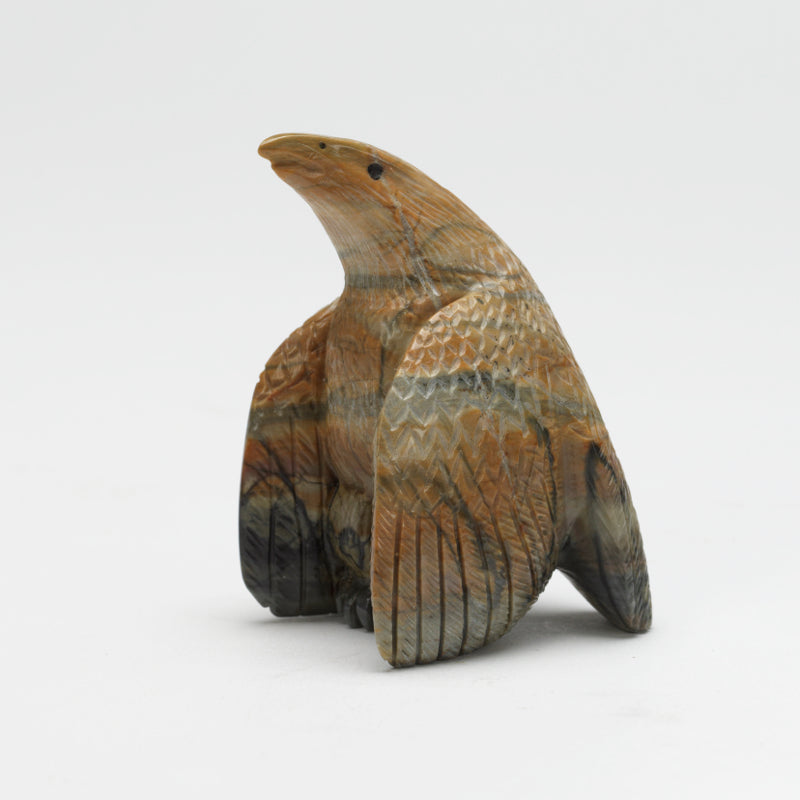 Daryl Shack: Picasso , Eagle