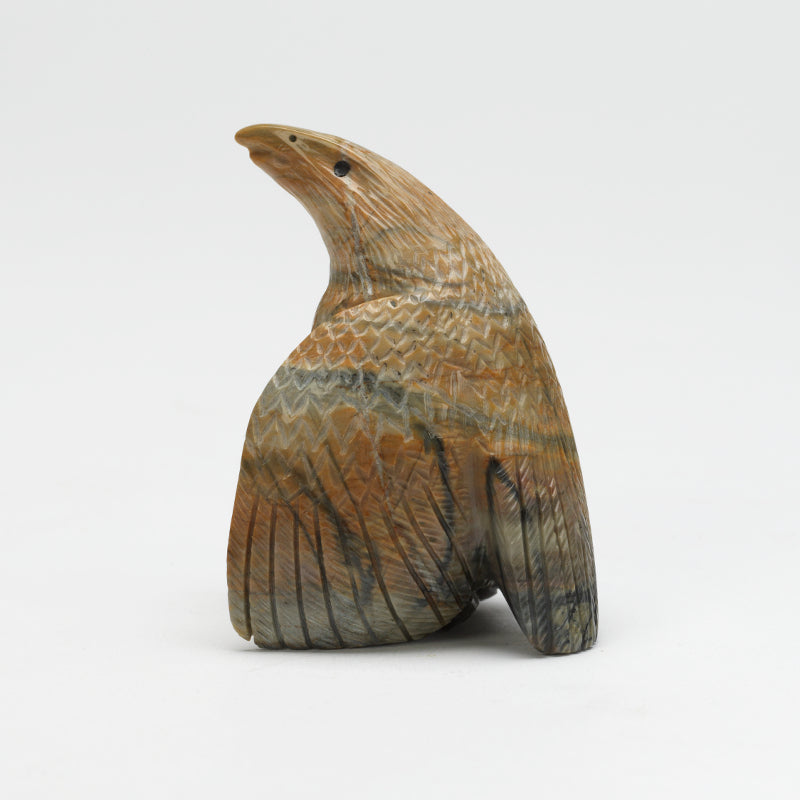 Daryl Shack: Picasso , Eagle