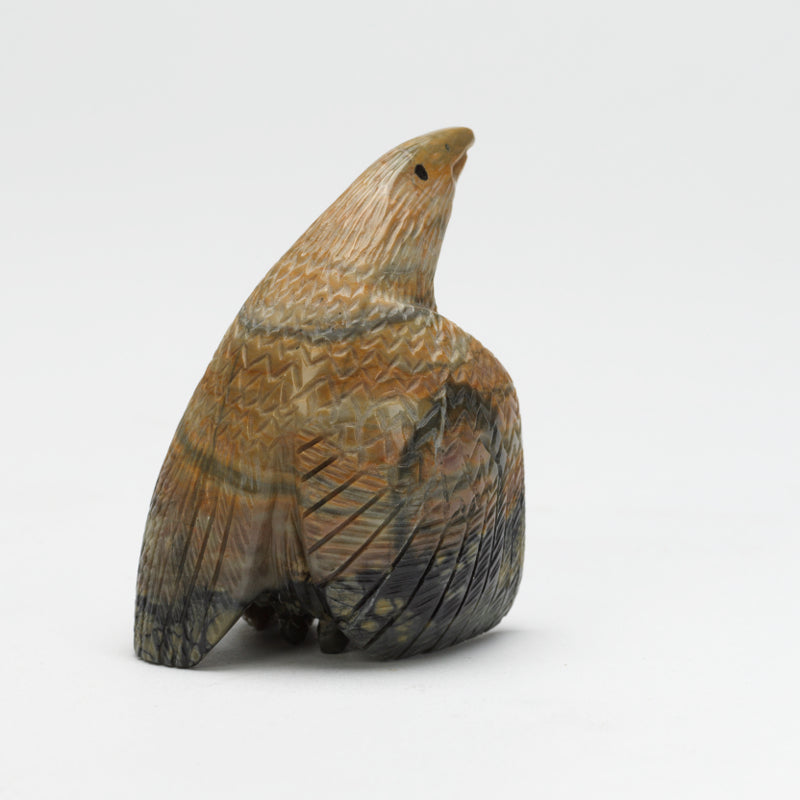 Daryl Shack: Picasso , Eagle