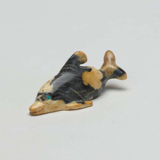 Molly Cheama: Leopard Rock, Dolphin