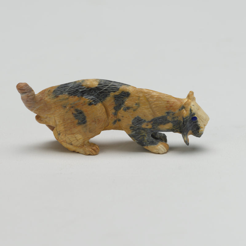 Lance Cheama: Leopard Rock Bobcat