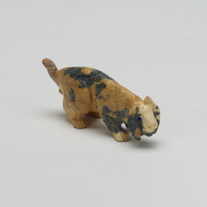 Lance Cheama: Leopard Rock Bobcat