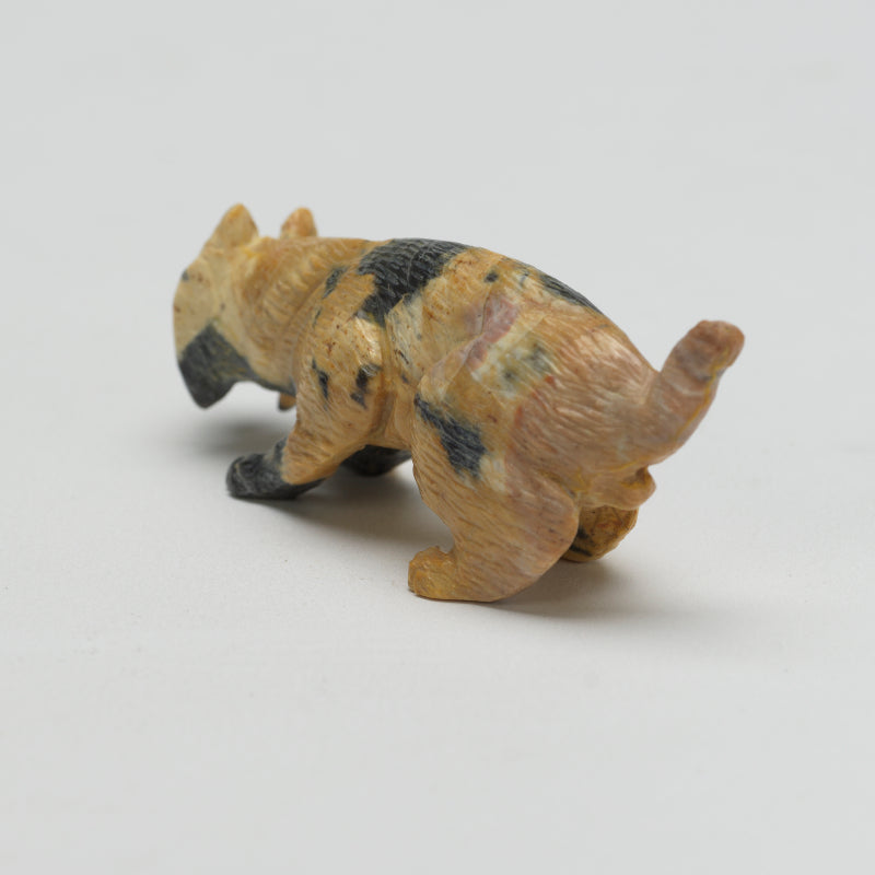 Lance Cheama: Leopard Rock Bobcat