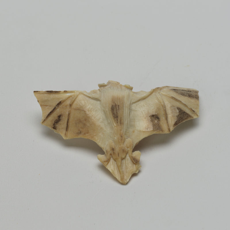 Lewis Malie: Bone , Bat