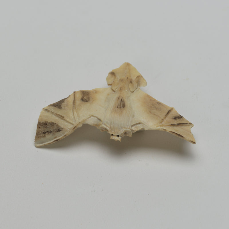 Lewis Malie: Bone , Bat