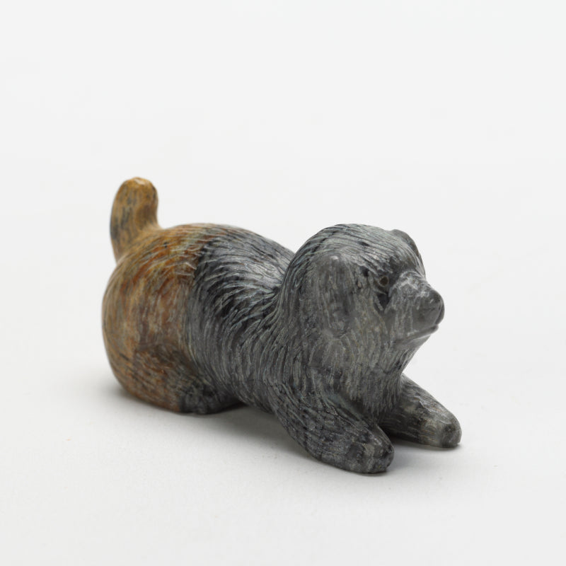 Clayton Panteah: Picasso Marble , Sheep Dog