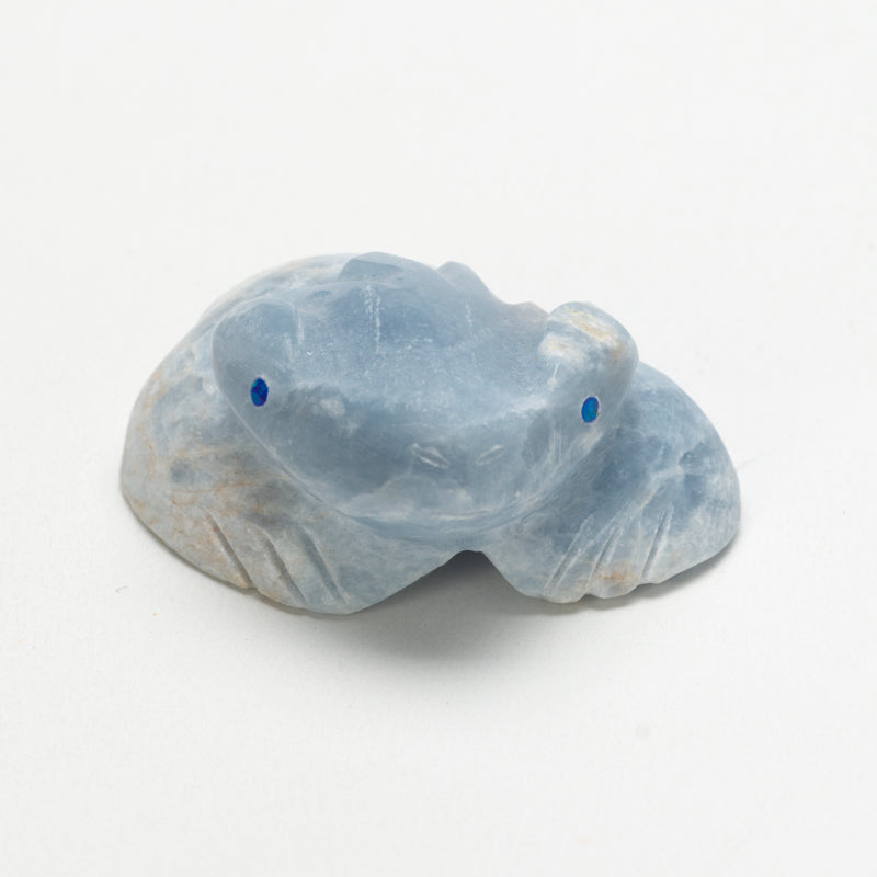 Benina Kallestewa: Angelite, Horned Toad