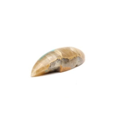 Clayton & Abby Panteah: Banded Onyx, Mole