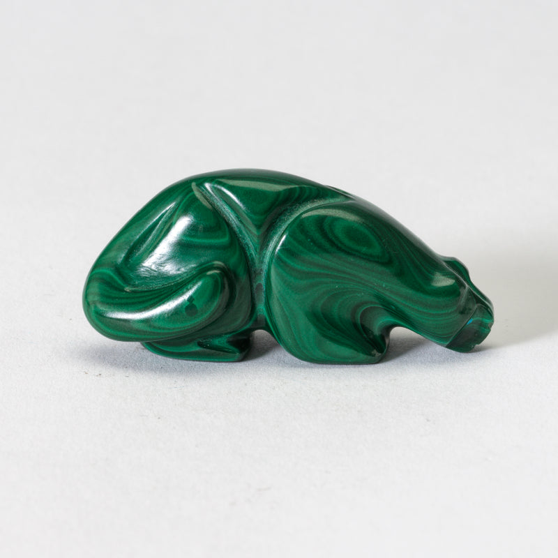 Rosella Lunasee & Loubert Soseeah: Malachite, Mountain Lion