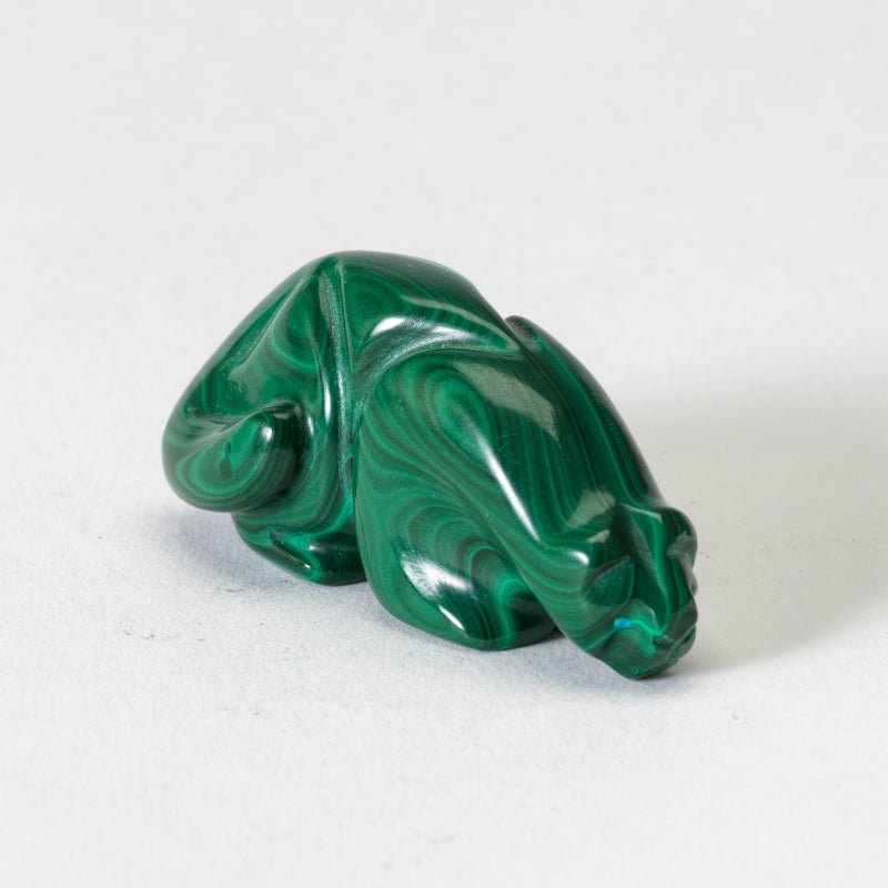 Rosella Lunasee & Loubert Soseeah: Malachite, Mountain Lion