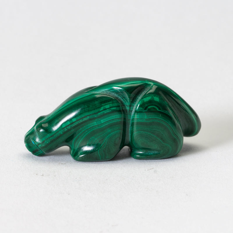 Rosella Lunasee & Loubert Soseeah: Malachite, Mountain Lion