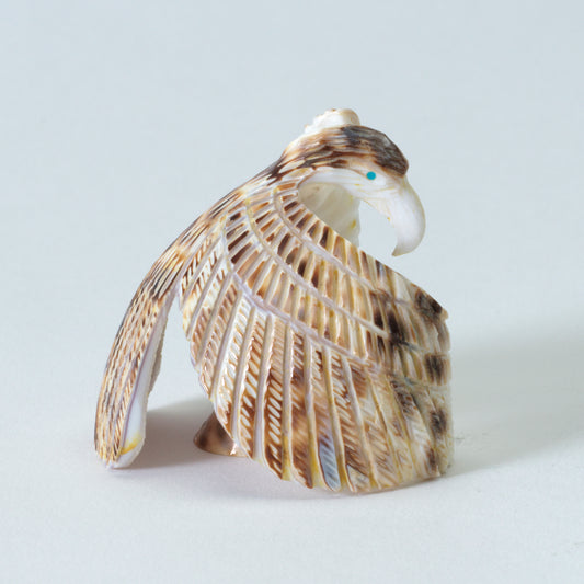Bryston Bowannie: Cowry Shell, Eagle