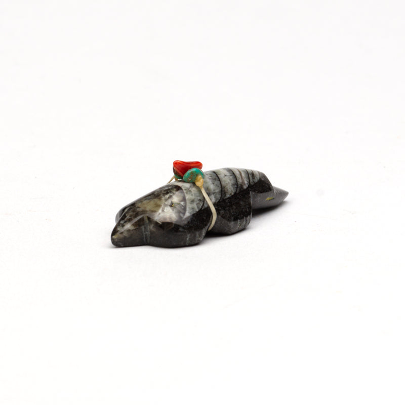 Marcel Chase Weahkee (d): Ammonite, Mole