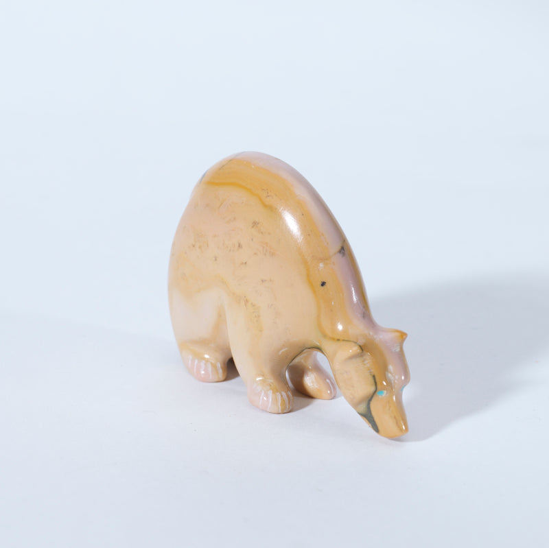 Nelson Yatsattie: Dolomite, Bear