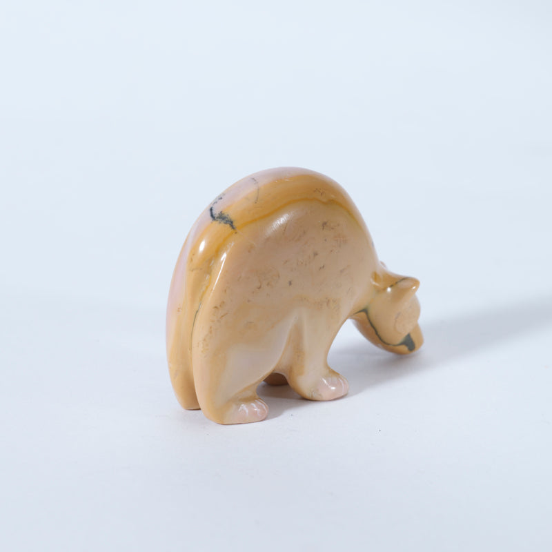 Nelson Yatsattie: Dolomite, Bear