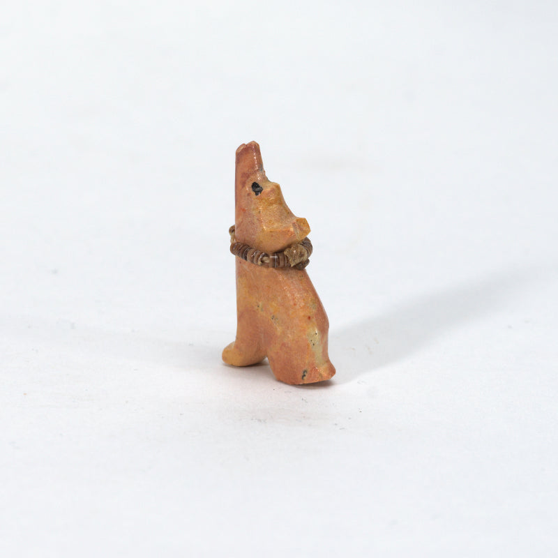 Lebert Kaskalla: Dolomite, Coyote