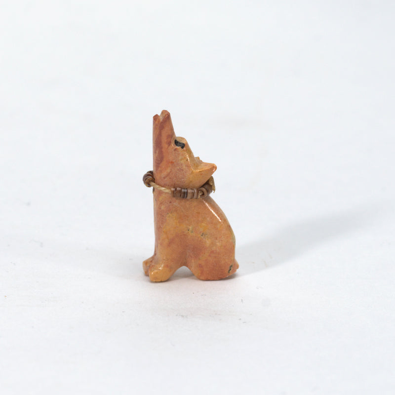 Lebert Kaskalla: Dolomite, Coyote
