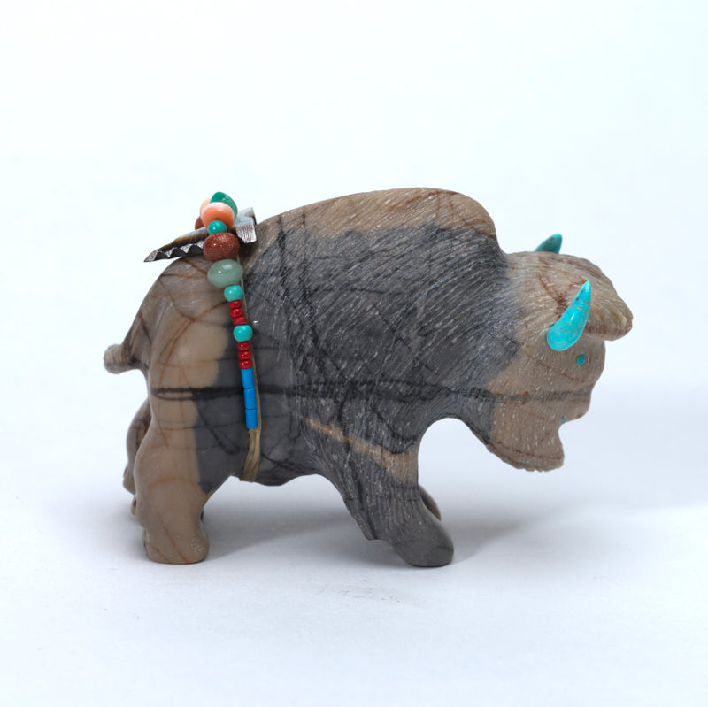 Douglas Martza: Picasso, Buffalo