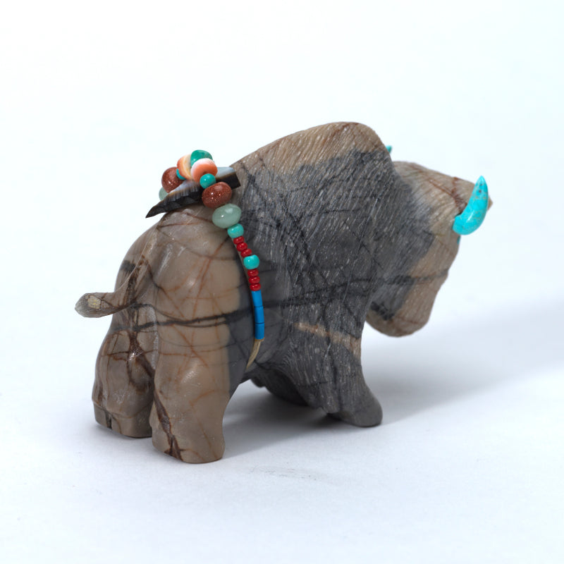 Douglas Martza: Picasso, Buffalo