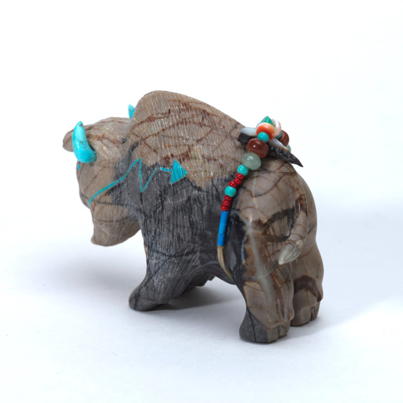 Douglas Martza: Picasso, Buffalo