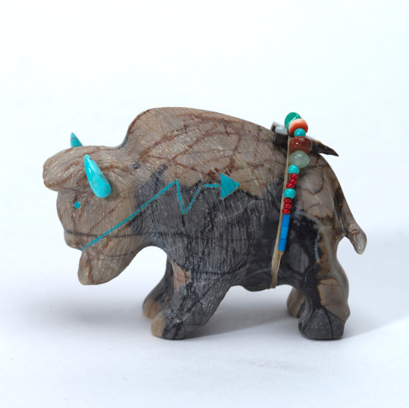 Douglas Martza: Picasso, Buffalo