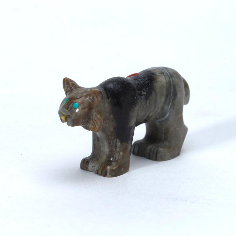 Clissa Martin: Picasso, Bobcat