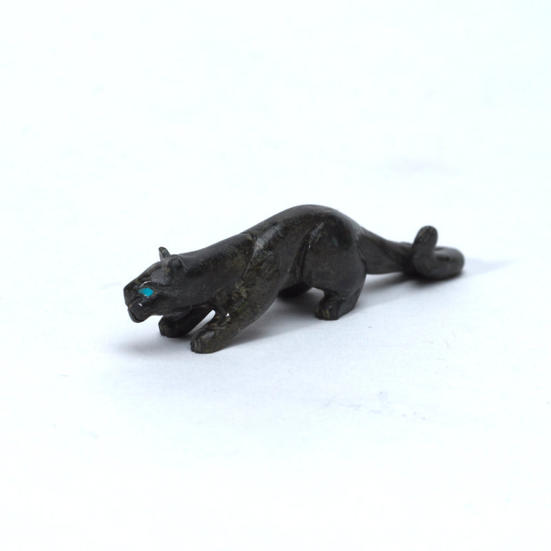 Lance Cheama: Fossil, Cougar