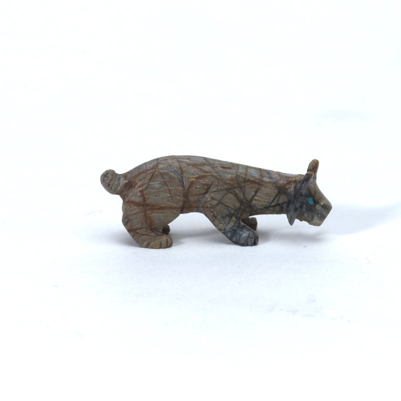 Lance Cheama: Picasso, Bobcat