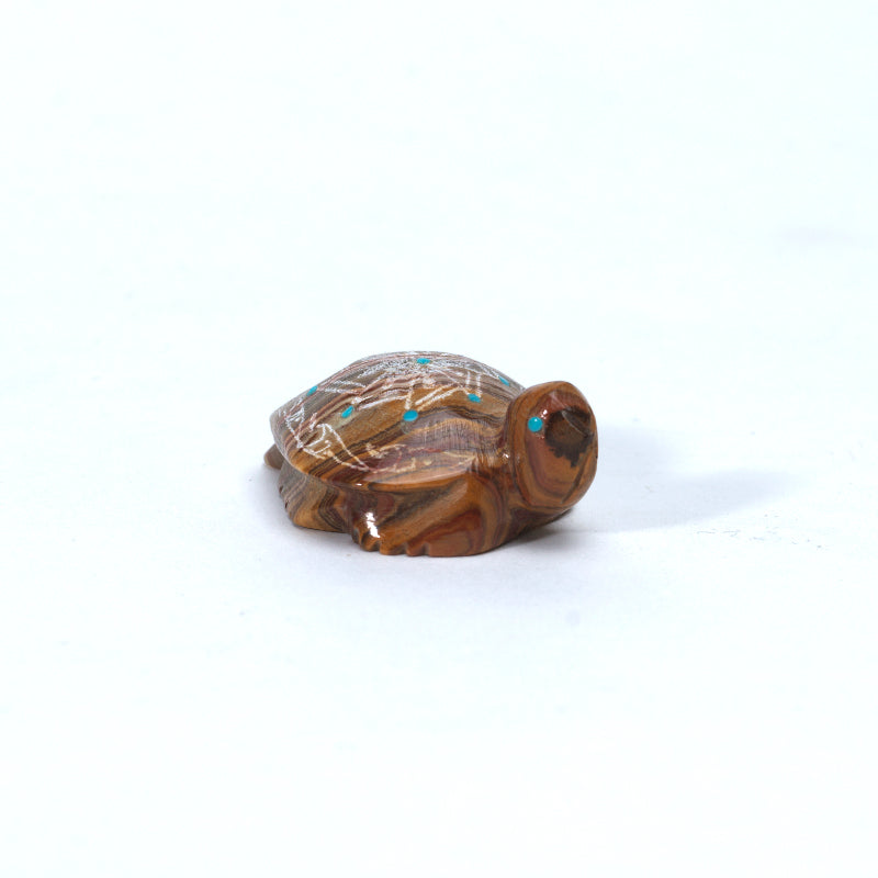 Adrian Cachini: Onyx, Sgraffito Turtle