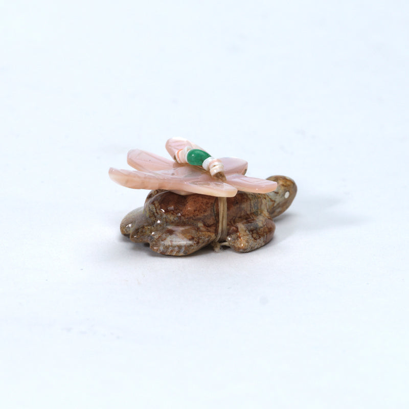 Daisy Rose Leonard: Picasso, Turtle with Pink Mussel Shell Dragonfly