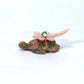 Daisy Rose Leonard: Picasso, Turtle with Pink Mussel Shell Dragonfly