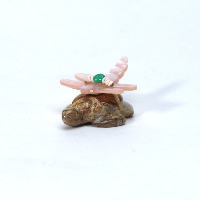 Daisy Rose Leonard: Picasso, Turtle with Pink Mussel Shell Dragonfly