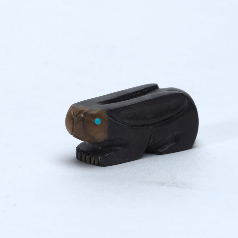 Reynold Lunasee: Picasso, Rabbit