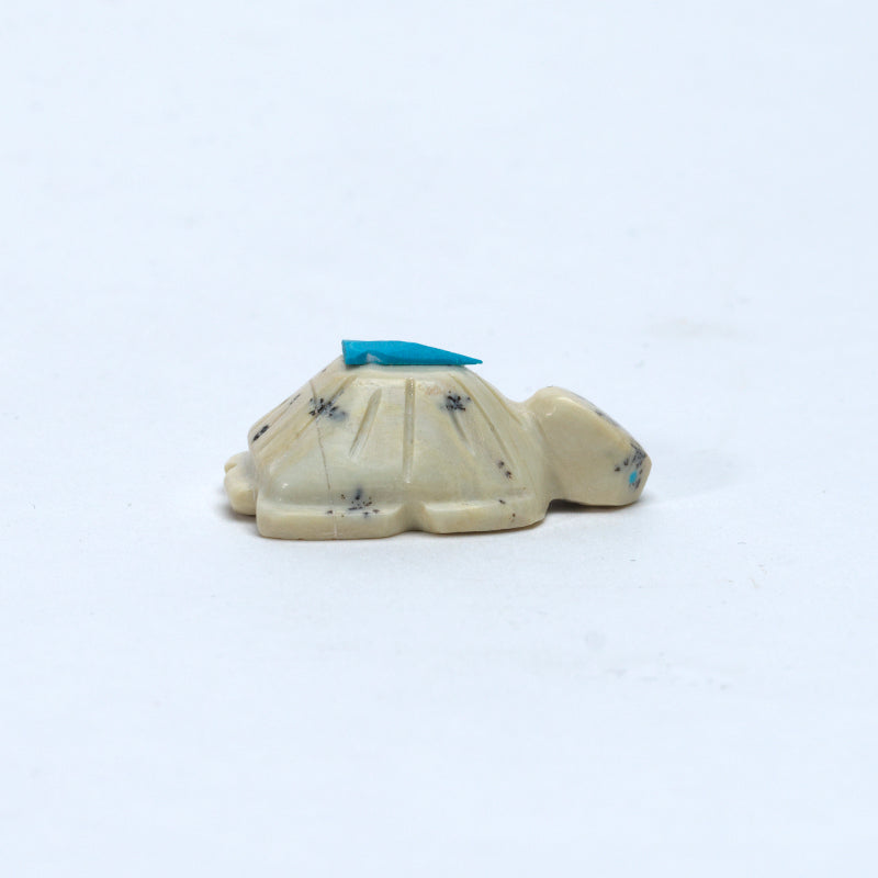 Fred Weekoty: Fishrock, Turtle