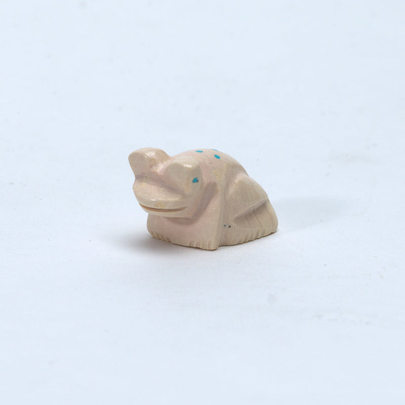 Fred Weekoty: Fishrock, Frog