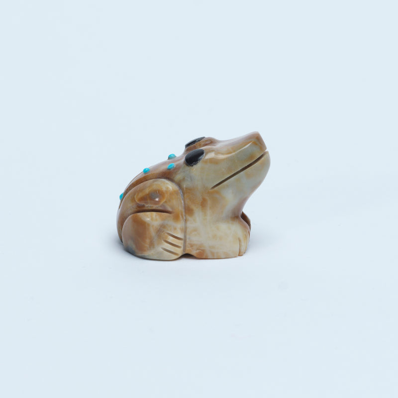 Reynold Lunasee: Picasso, Frog