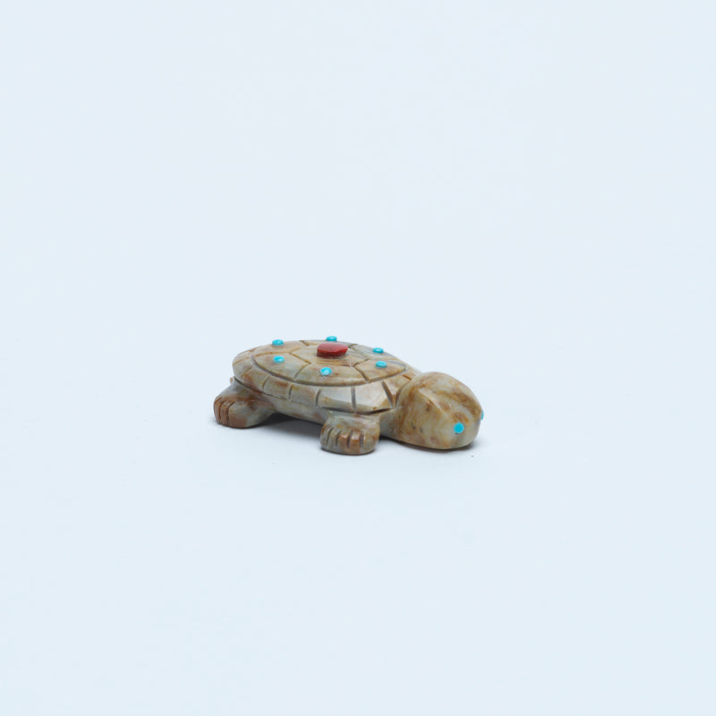 Reynold Lunasee: Picasso, Turtle with Coral/Turquoise Dots