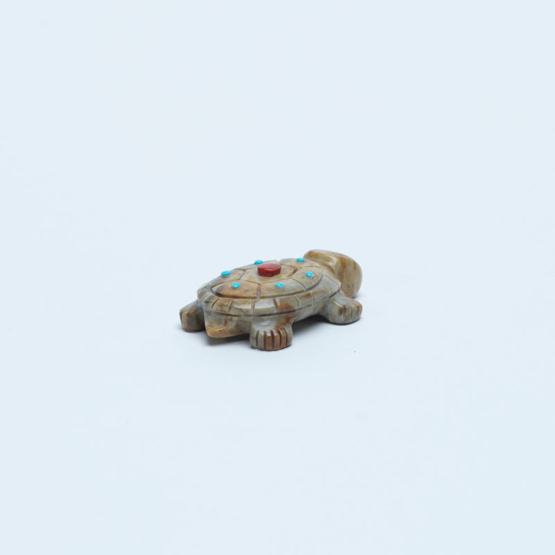 Reynold Lunasee: Picasso, Turtle with Coral/Turquoise Dots