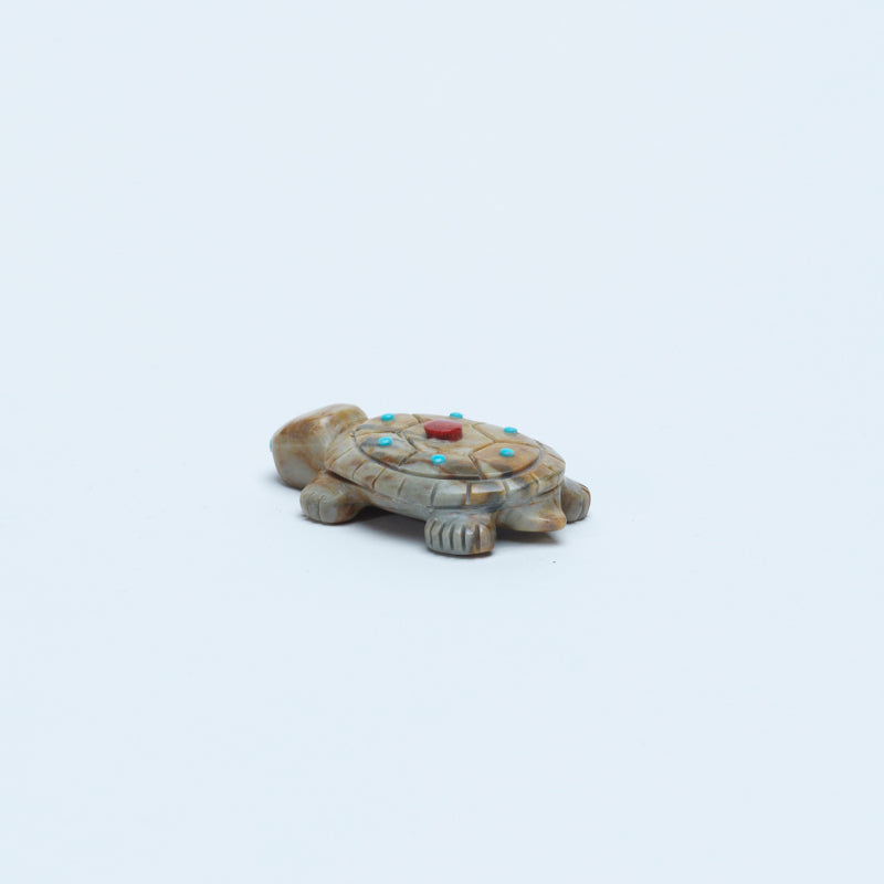 Reynold Lunasee: Picasso, Turtle with Coral/Turquoise Dots