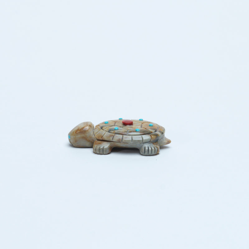 Reynold Lunasee: Picasso, Turtle with Coral/Turquoise Dots