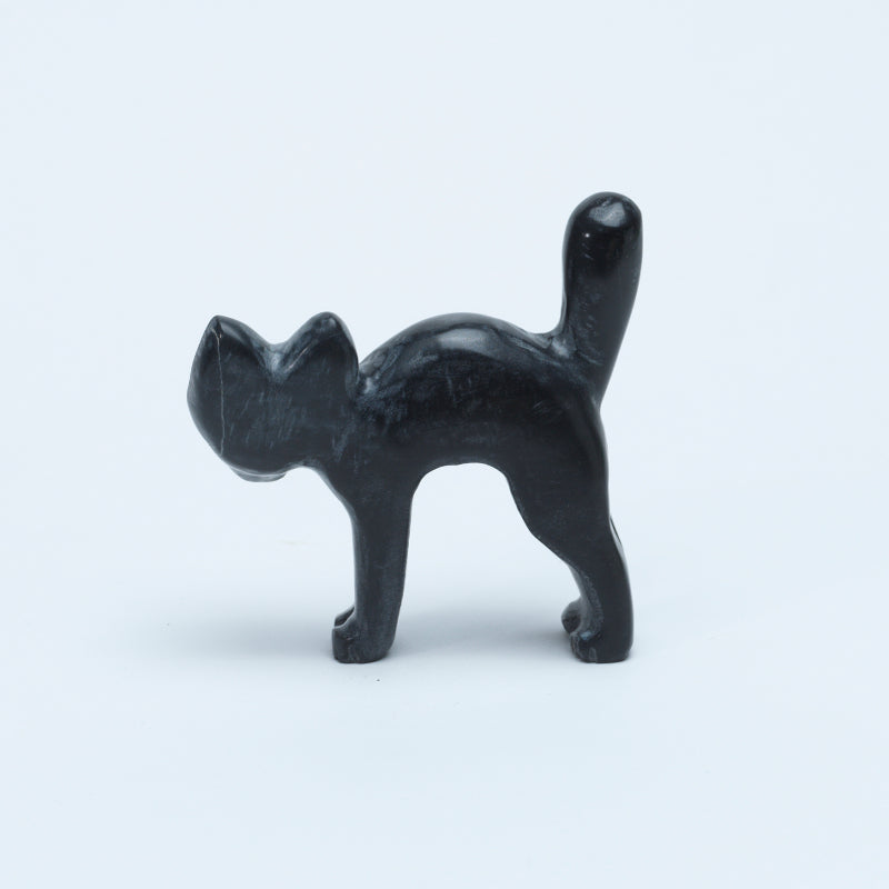Cody Nastacio: Black Marble, Cat